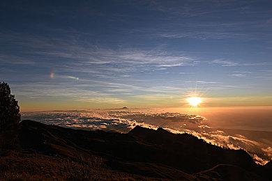 《铁拳8》新预告片展示克劳迪奥·塞拉菲诺